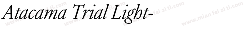 Atacama Trial Light字体转换